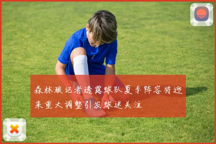 森林狼记者透露球队夏季阵容将迎来重大调整引发球迷关注