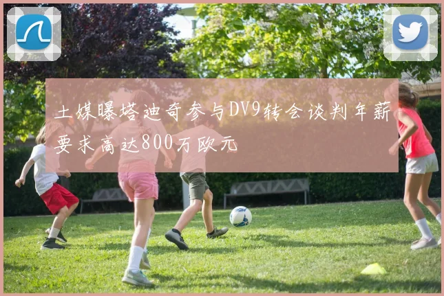 土媒曝塔迪奇参与DV9转会谈判年薪要求高达800万欧元
