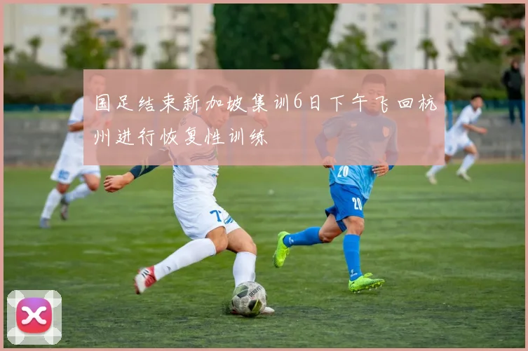 国足结束新加坡集训6日下午飞回杭州进行恢复性训练